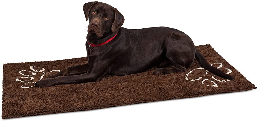 The best carpet for pet owners
