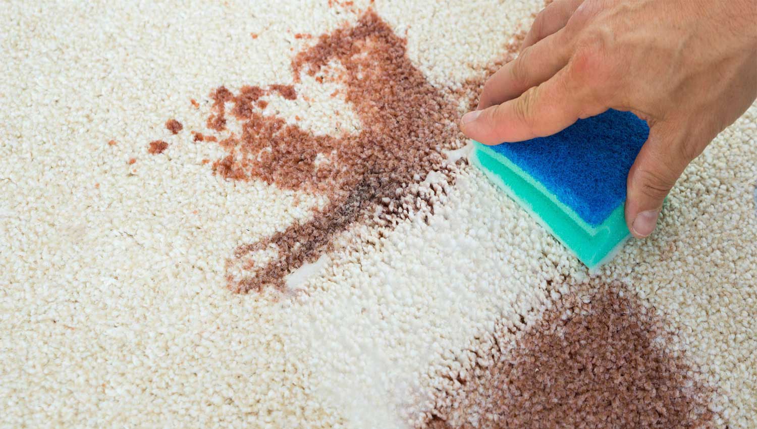 Removing blood stains from carpet Afrand Carpet online store