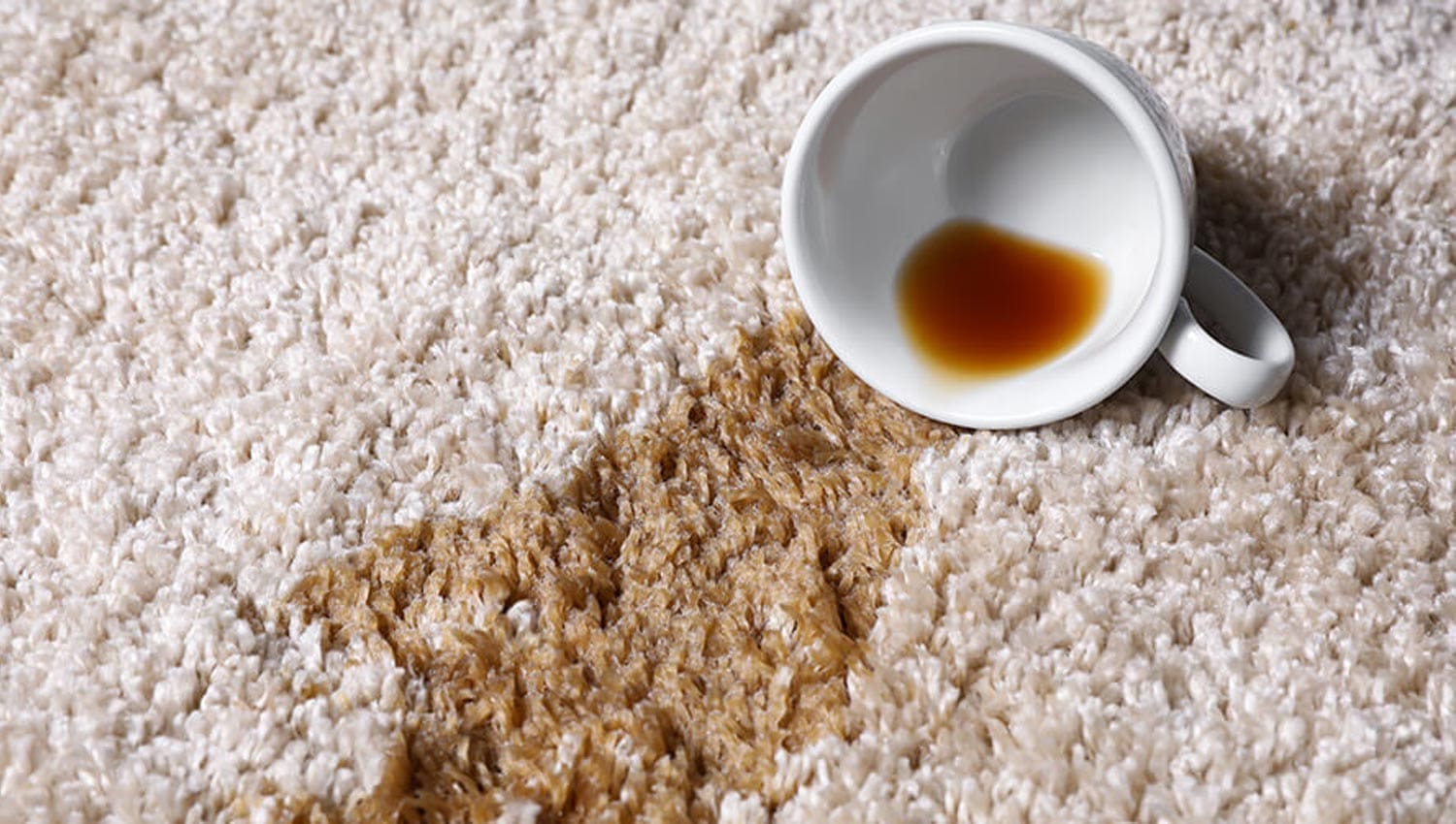 remove tea stains from carpet Afrand Carpet online store