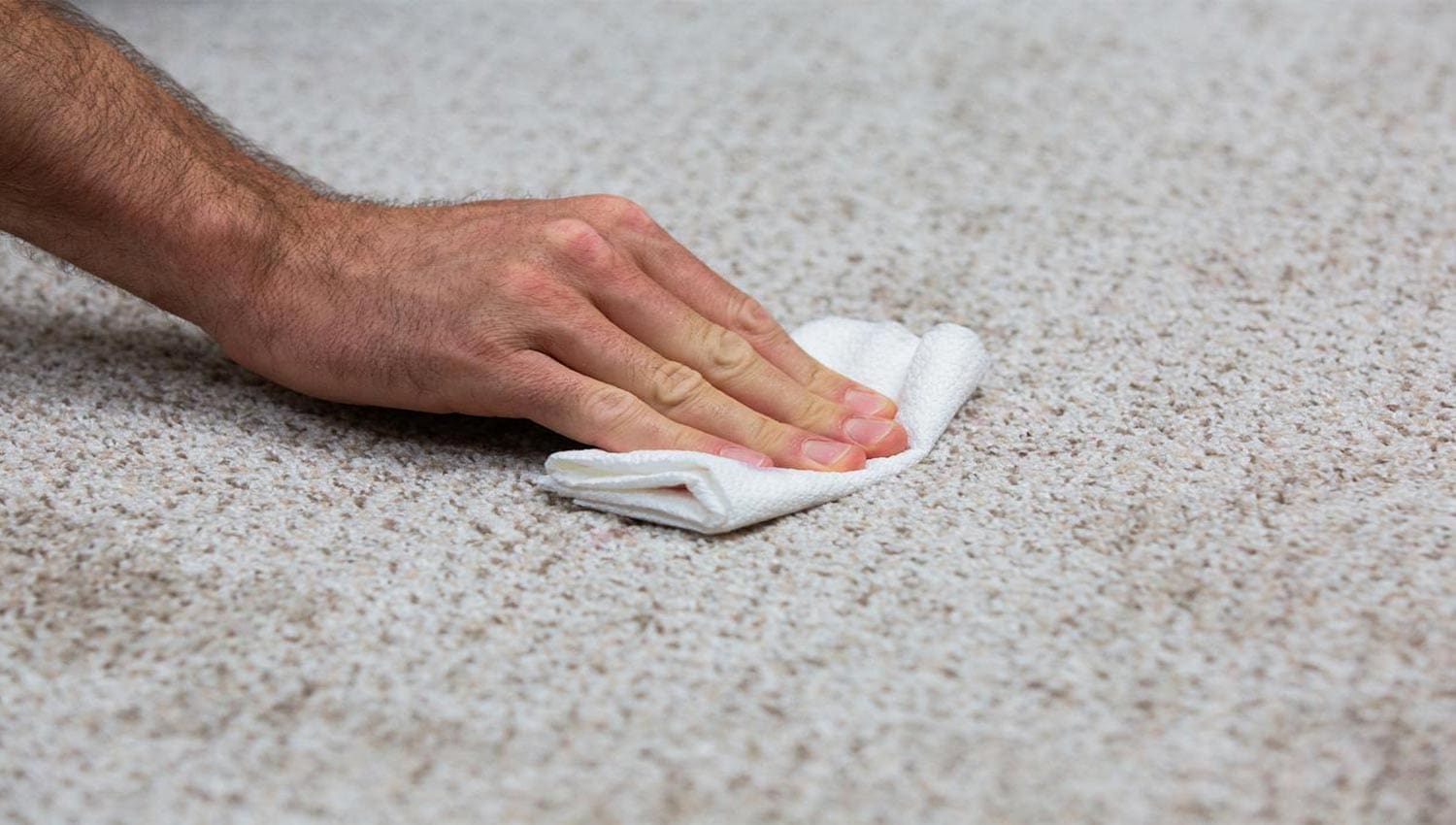 remove tea stains from carpet Afrand Carpet online store