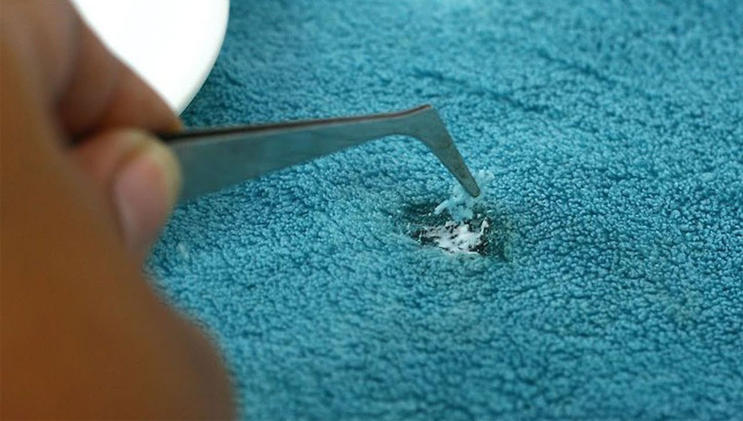 remove carpet burns Afrand Carpet online store
