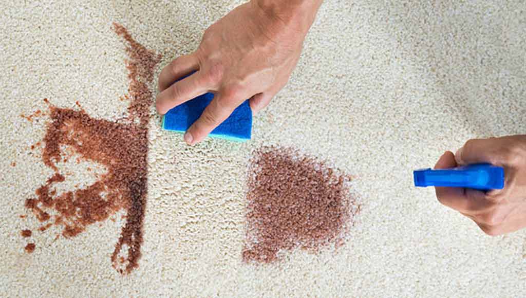 تمیز کردن لکه قهوه از روی فرش